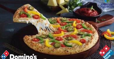 Domino's Pizza Franchise